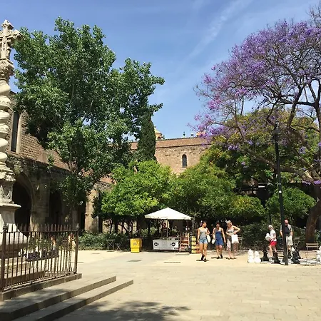 Bcn Maison d'hôtes *